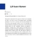 LLP Audit Report Format