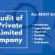 Company Audit